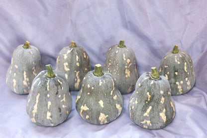 島カボチャ　5kg