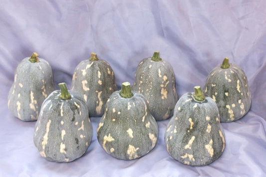 島カボチャ　5kg
