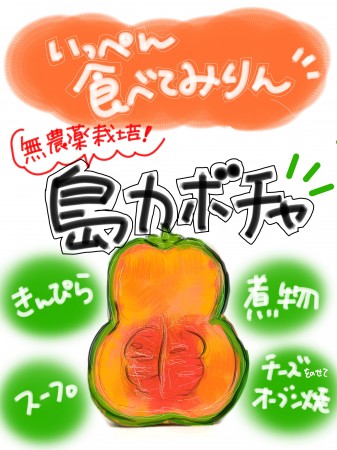 島カボチャ　5kg
