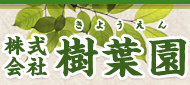 シンボルツリー 苗木/記念樹 苗木　色々な植木・樹木の苗木販売【樹葉園】